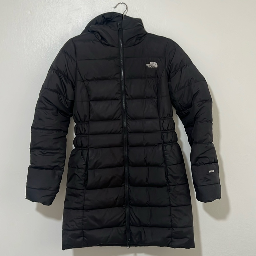 The north face coat